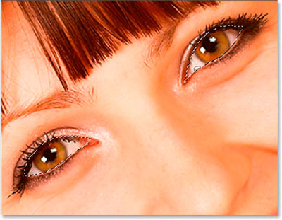 http://www.photoshop-master.ru/lessons/2007/161007/shiny_eyes/eyes-sel.jpg