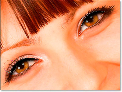 http://www.photoshop-master.ru/lessons/2007/161007/shiny_eyes/paint-sh.jpg
