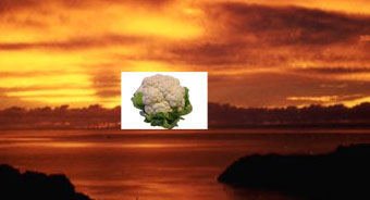 http://www.photoshop-master.ru/lessons/2007/210807/cauliflower/10000001.jpg