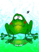 http://www.photoshop-master.ru/lessons/2008/290208/frog/28.jpg