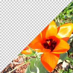 http://www.photoshop-master.ru/lessons/2007/020707/kaleidoscope/5.jpg