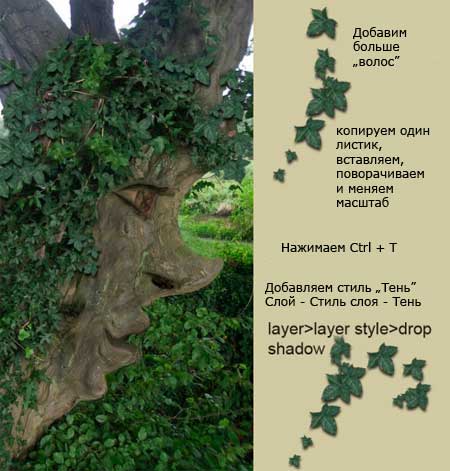 http://www.photoshop-master.ru/lessons/2007/051107/human_tree/7.jpg