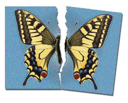 http://www.photoshop-master.ru/lessons/2007/230707/butterfly/5.jpg