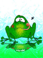 http://www.photoshop-master.ru/lessons/2008/290208/frog/29.jpg